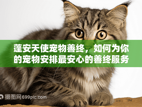 蓬安天使宠物善终，如何为你的宠物安排最安心的善终服务？