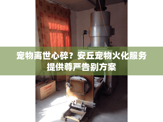 宠物离世心碎？安丘宠物火化服务提供尊严告别方案