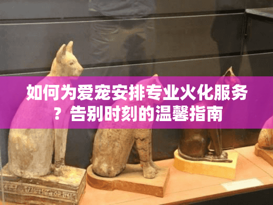 如何为爱宠安排专业火化服务？告别时刻的温馨指南