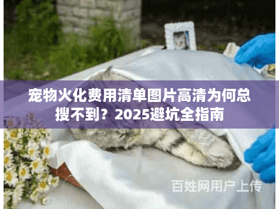 宠物火化费用清单图片高清为何总搜不到？2025避坑全指南