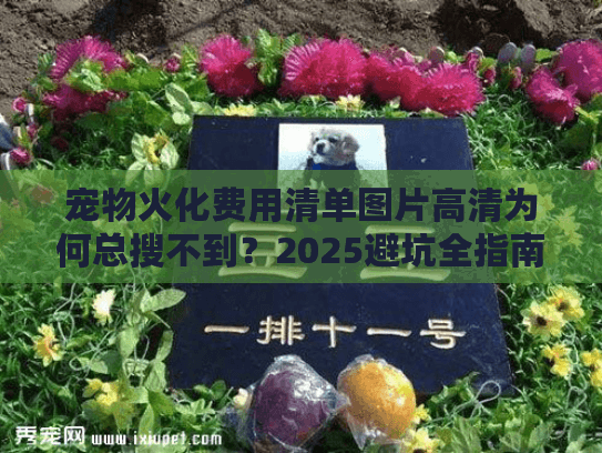 宠物火化费用清单图片高清为何总搜不到？2025避坑全指南