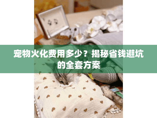 宠物火化费用多少？揭秘省钱避坑的全套方案
