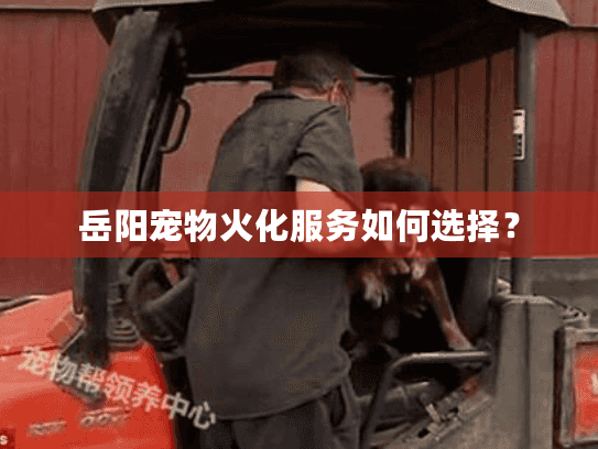 岳阳宠物火化服务如何选择？
