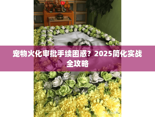 宠物火化审批手续困惑？2025简化实战全攻略