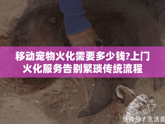 移动宠物火化需要多少钱?上门火化服务告别繁琐传统流程