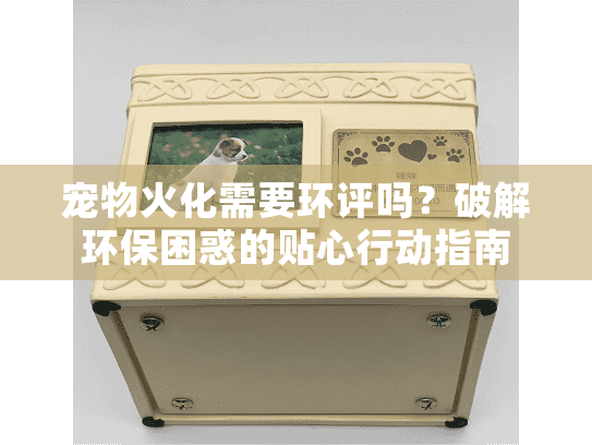 宠物火化需要环评吗?破解环保困惑的贴心行动指南 宠物火化需要环评吗?破解环保困惑的贴心行动指南