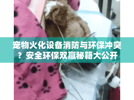 宠物火化设备消防与环保冲突？安全环保双赢秘籍大公开