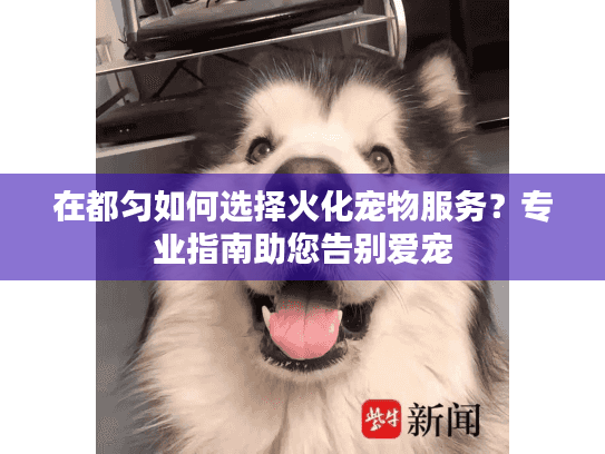 在都匀如何选择火化宠物服务？专业指南助您告别爱宠