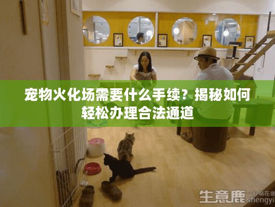 宠物火化场需要什么手续？揭秘如何轻松办理合法通道