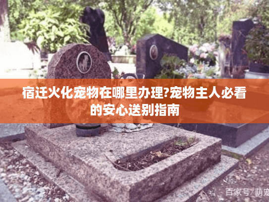 宿迁火化宠物在哪里办理?宠物主人必看的安心送别指南