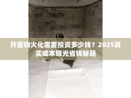 开宠物火化需要投资多少钱？2025真实成本曝光省钱秘籍