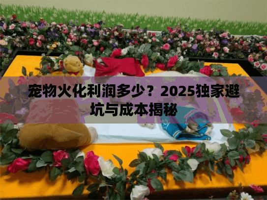 宠物火化利润多少？2025独家避坑与成本揭秘