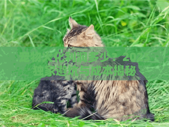 宠物火化利润多少？2025独家避坑与成本揭秘