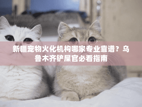 新疆宠物火化机构哪家专业靠谱？乌鲁木齐铲屎官必看指南