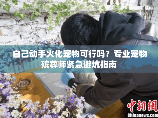自己动手火化宠物可行吗？专业宠物殡葬师紧急避坑指南