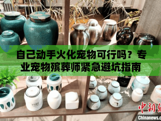 自己动手火化宠物可行吗？专业宠物殡葬师紧急避坑指南
