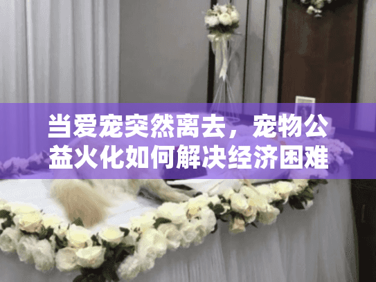 当爱宠突然离去，宠物公益火化如何解决经济困难家庭的善后难题？