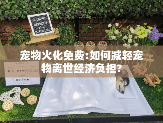 宠物火化免费:如何减轻宠物离世经济负担?