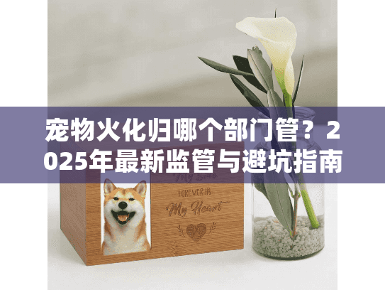 宠物火化归哪个部门管？2025年最新监管与避坑指南