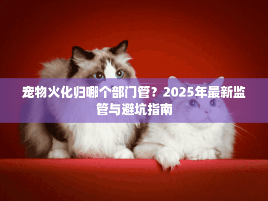宠物火化归哪个部门管？2025年最新监管与避坑指南