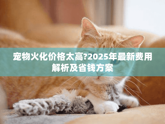 宠物火化价格太高?2025年最新费用解析及省钱方案