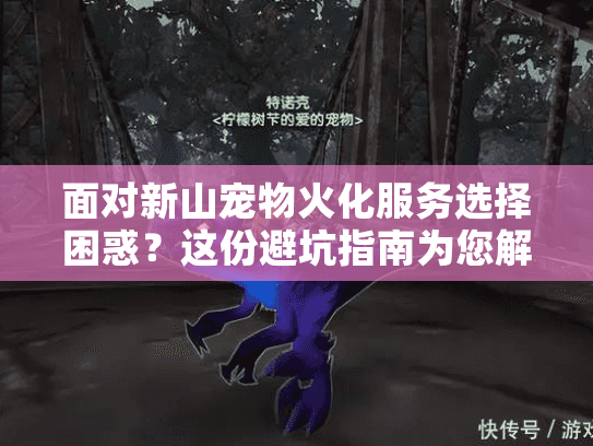 面对新山宠物火化服务选择困惑？这份避坑指南为您解忧