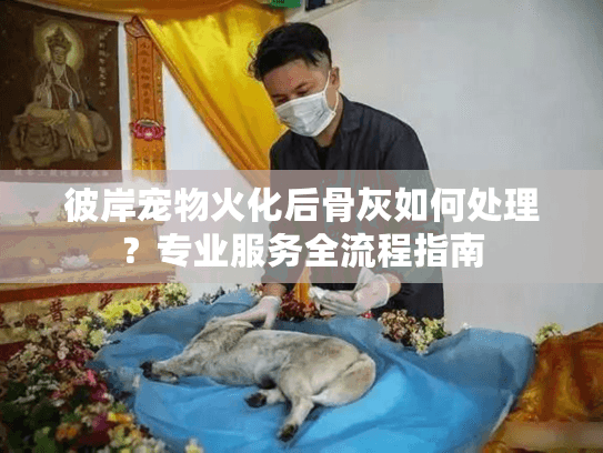 彼岸宠物火化后骨灰如何处理？专业服务全流程指南
