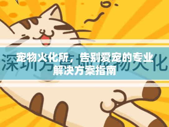 宠物火化所，告别爱宠的专业解决方案指南