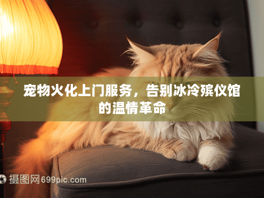 宠物火化上门服务，告别冰冷殡仪馆的温情革命