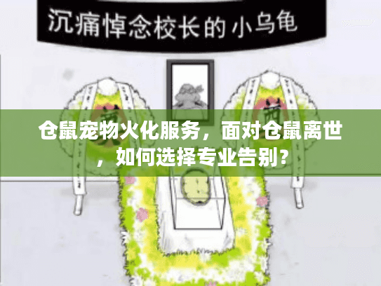 仓鼠宠物火化服务，面对仓鼠离世，如何选择专业告别？