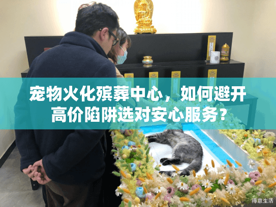 宠物火化殡葬中心，如何避开高价陷阱选对安心服务？