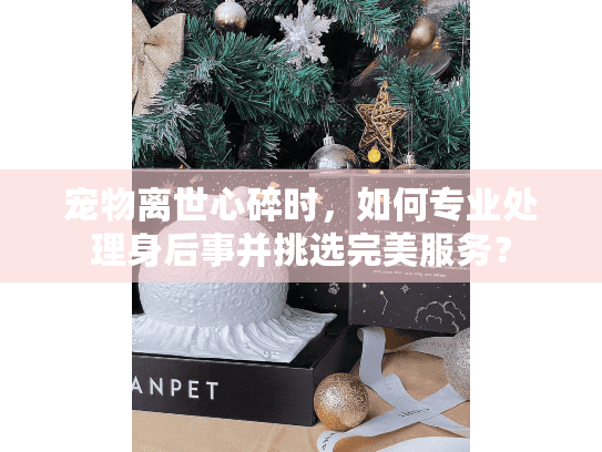 宠物离世心碎时,如何专业处理身后事并挑选完美服务? 宠物离世心碎时,如何专业处理身后事并挑选完美服务?