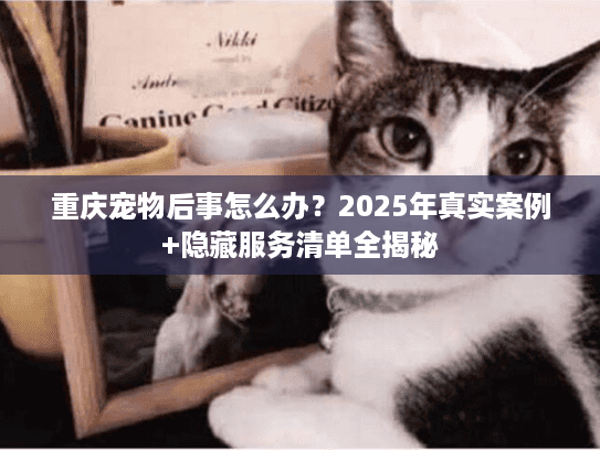 重庆宠物后事怎么办？2025年真实案例+隐藏服务清单全揭秘
