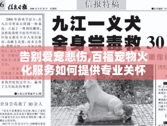 告别爱宠悲伤,百福宠物火化服务如何提供专业关怀?