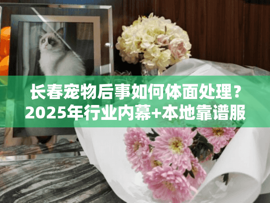 长春宠物后事如何体面处理？2025年行业内幕+本地靠谱服务推荐