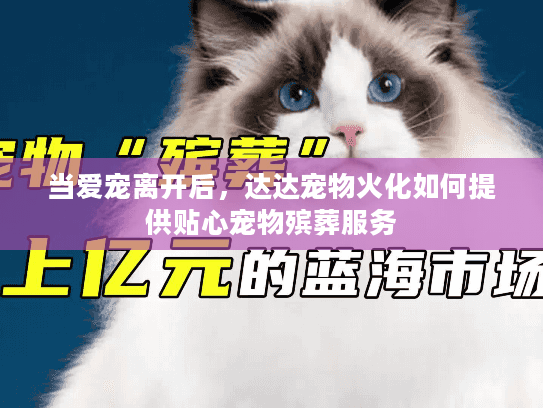 当爱宠离开后，达达宠物火化如何提供贴心宠物殡葬服务