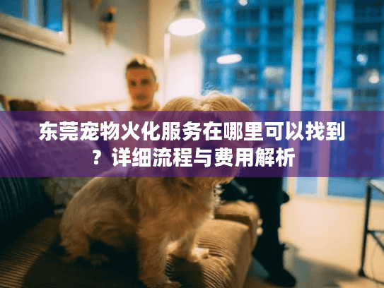 东莞宠物火化服务在哪里可以找到？详细流程与费用解析