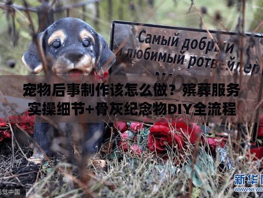 宠物后事制作该怎么做？殡葬服务实操细节+骨灰纪念物DIY全流程（内附行业内幕）