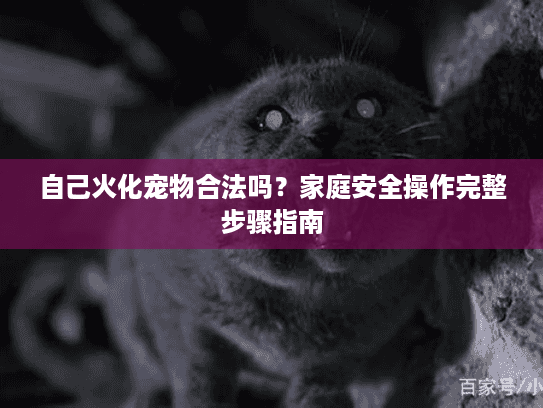 自己火化宠物合法吗？家庭安全操作完整步骤指南