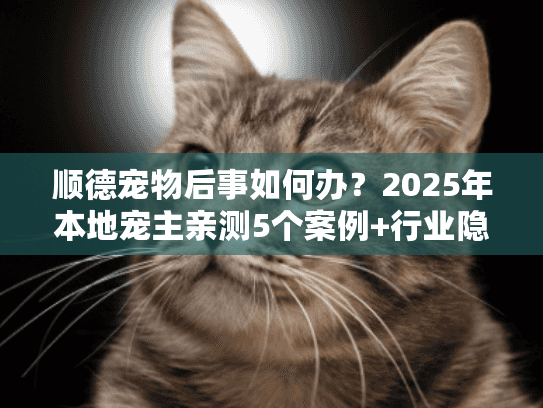 顺德宠物后事如何办？2025年本地宠主亲测5个案例+行业隐藏规则