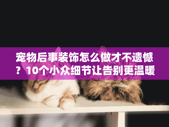 宠物后事装饰怎么做才不遗憾？10个小众细节让告别更温暖（内附真实案例）