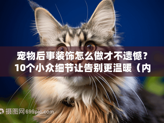 宠物后事装饰怎么做才不遗憾？10个小众细节让告别更温暖（内附真实案例）
