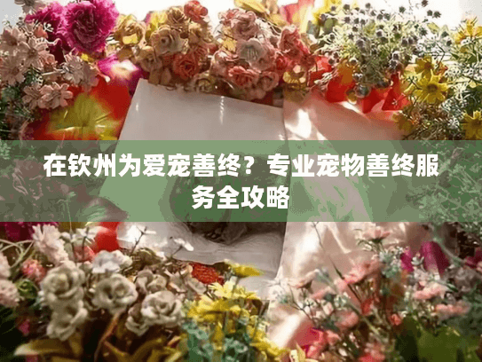 在钦州为爱宠善终？专业宠物善终服务全攻略