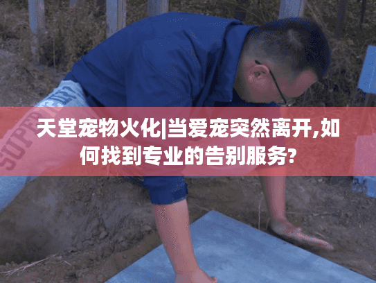 天堂宠物火化|当爱宠突然离开,如何找到专业的告别服务?