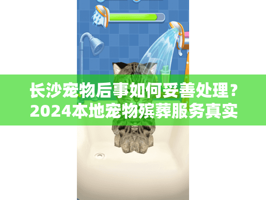 长沙宠物后事如何妥善处理？2024本地宠物殡葬服务真实案例+行业内幕揭秘