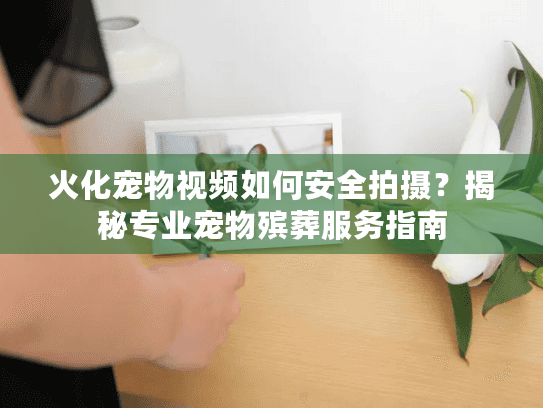 火化宠物视频如何安全拍摄？揭秘专业宠物殡葬服务指南