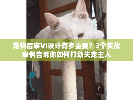 宠物后事VI设计有多重要？3个实战案例告诉你如何打动失宠主人