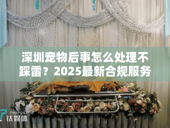 深圳宠物后事怎么处理不踩雷？2025最新合规服务+真实案例分享