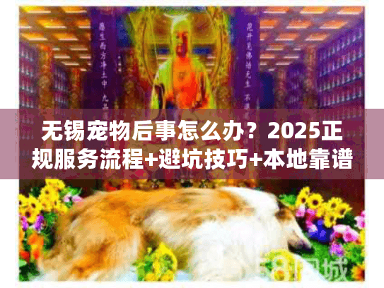 无锡宠物后事怎么办？2025正规服务流程+避坑技巧+本地靠谱机构推荐