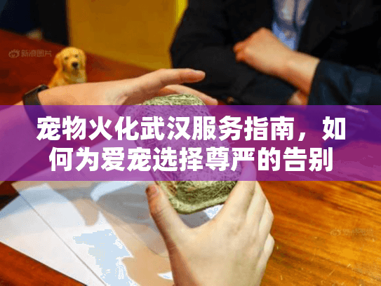 宠物火化武汉服务指南，如何为爱宠选择尊严的告别方案？